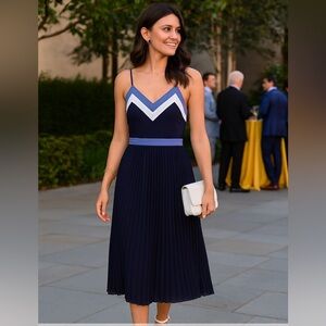 Banana Republic Color Block Pleated Midi Dress
